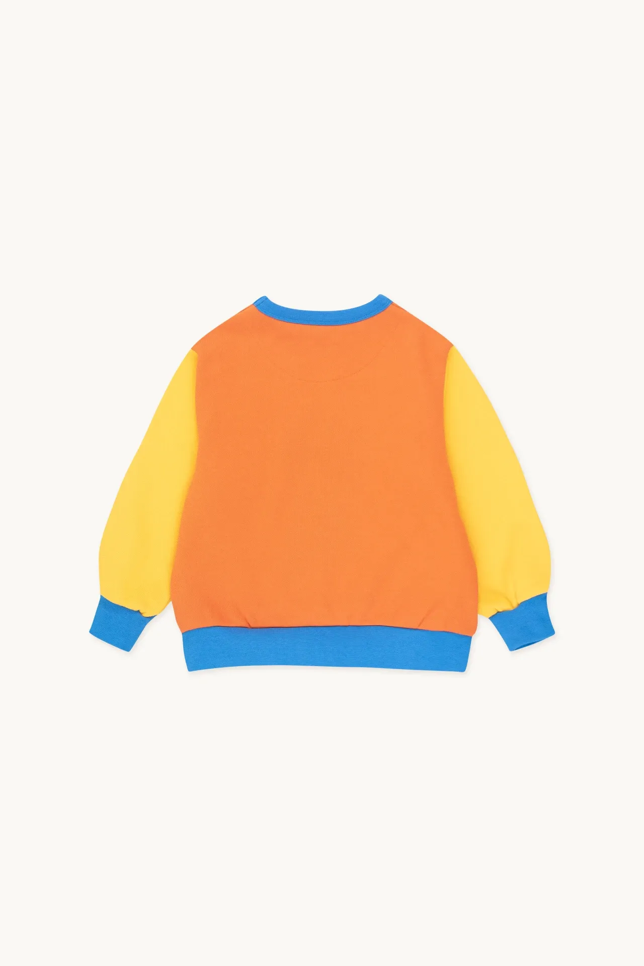 Color Block Sweatshirt – brick/deep yellow
