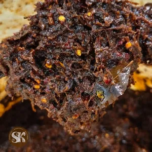 Gongura Pachadi | గోంగూర పచ్చడి | Sailaws Kitchen Veg Pickle